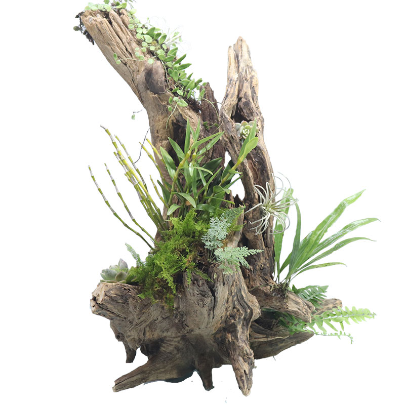 插花花盆枯树朽木花饰干花盆栽景观石斛树根花盆