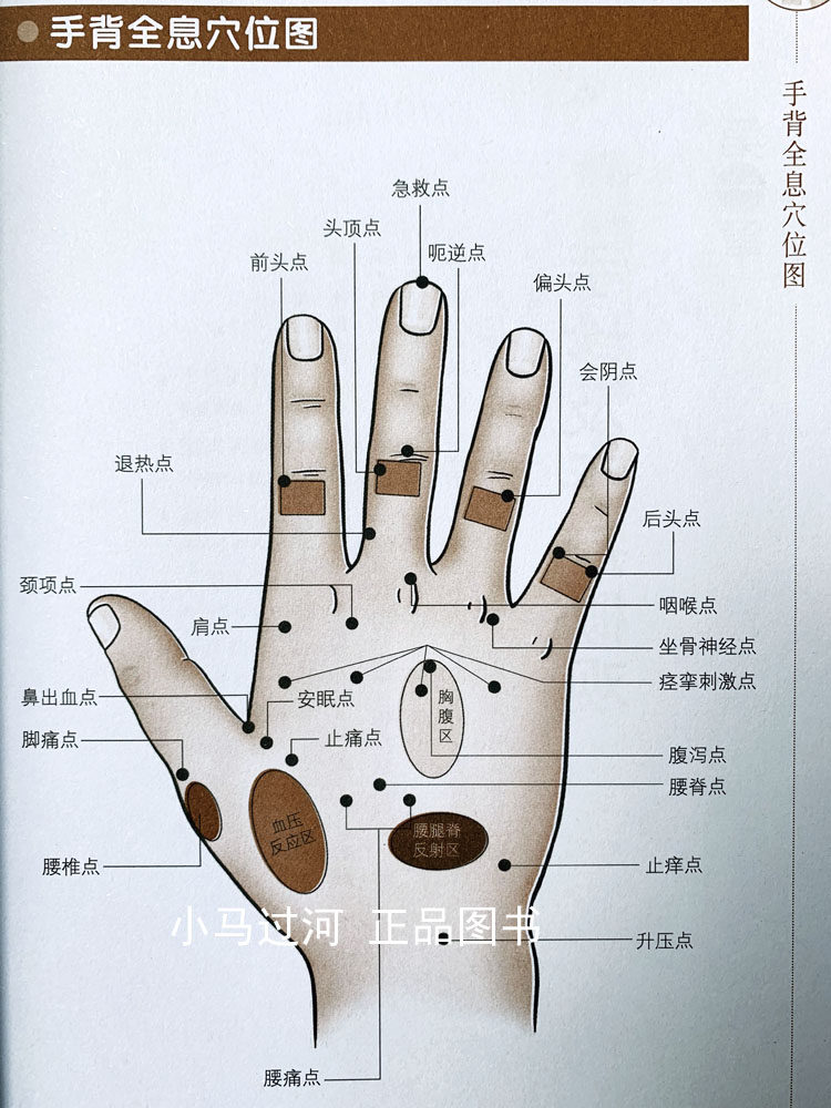 正版手纹手掌图解图书手相看手包邮中医养生三分钟手疗中医