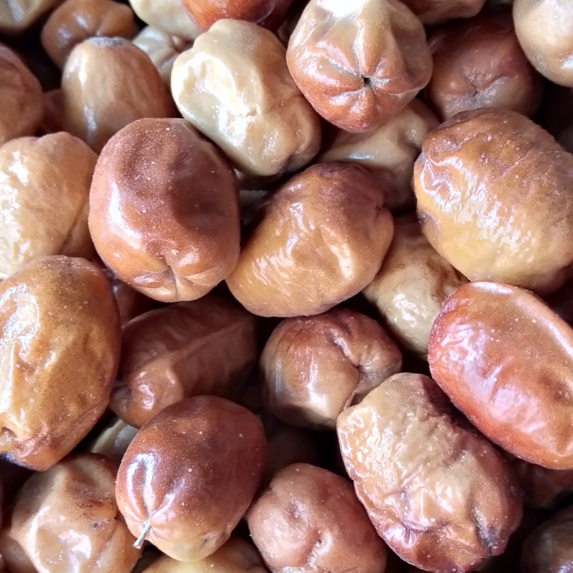 新疆小凯特产阿图沙枣自然晾晒原产地包邮发货葡萄干