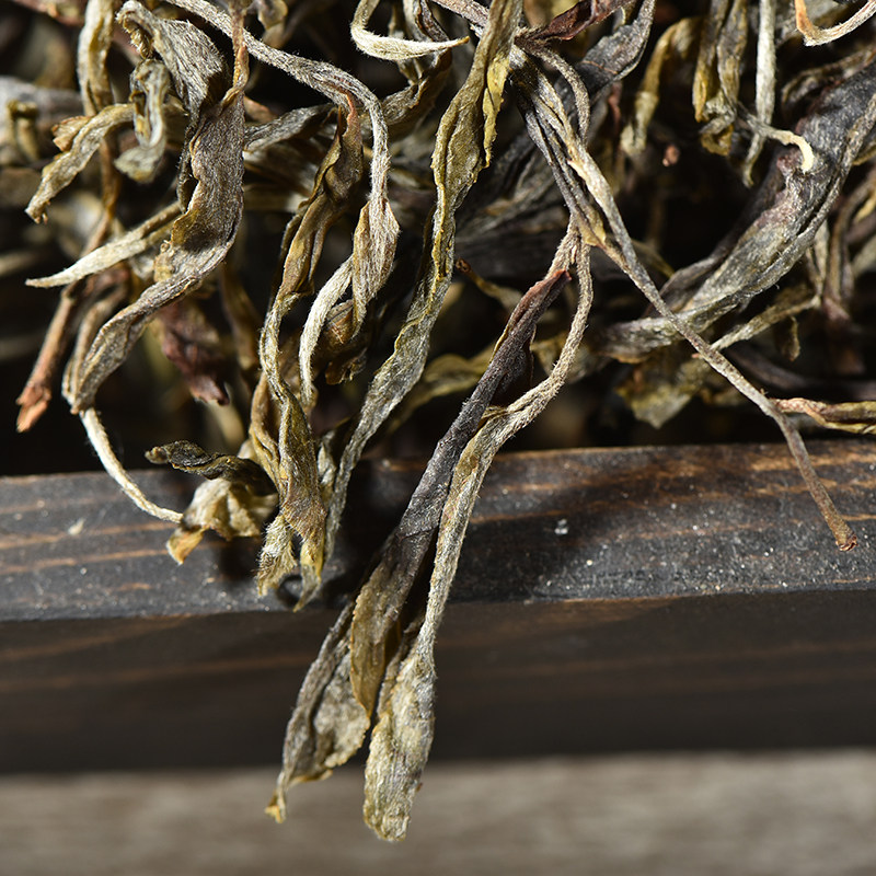 云南临沧野生生紫芽茶普洱生茶叶散装乔木老古普洱