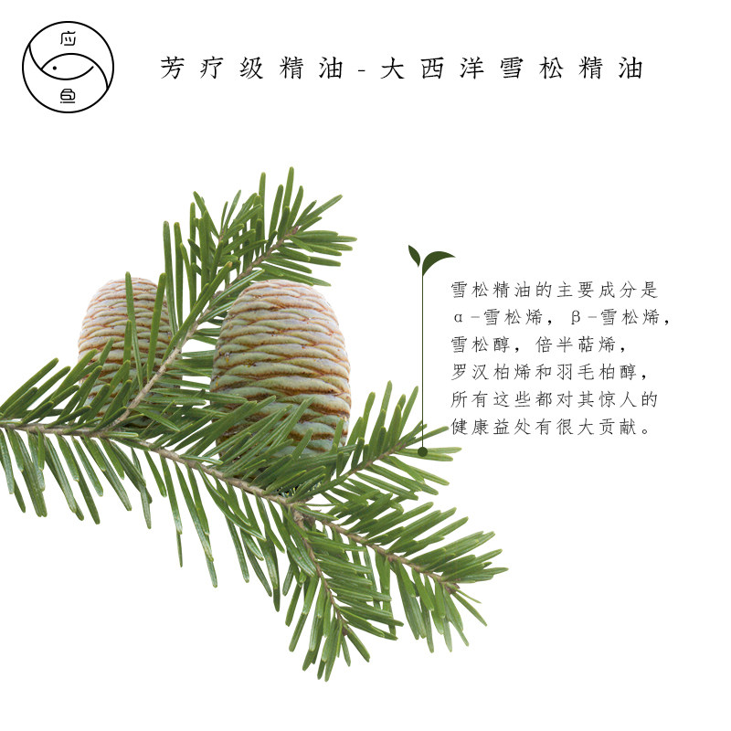 大西洋雪松单方精油香气舒缓压力能量强大助眠单方精油
