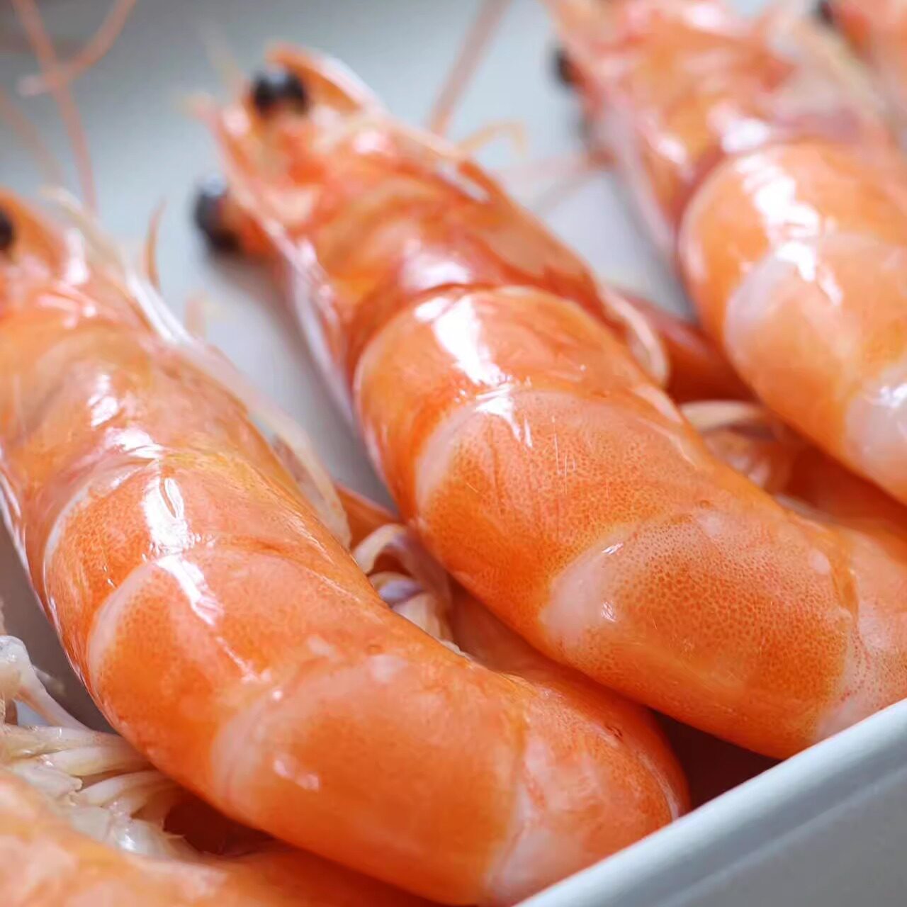 盐田虾的鲜甜秘密 蛋婶儿带你重新认识虾的味道