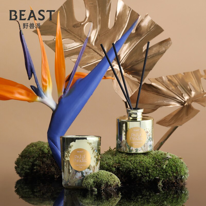 thebeast野兽派香氛礼盒无烟香薰蜡烛卧室家用散香香薰蜡烛