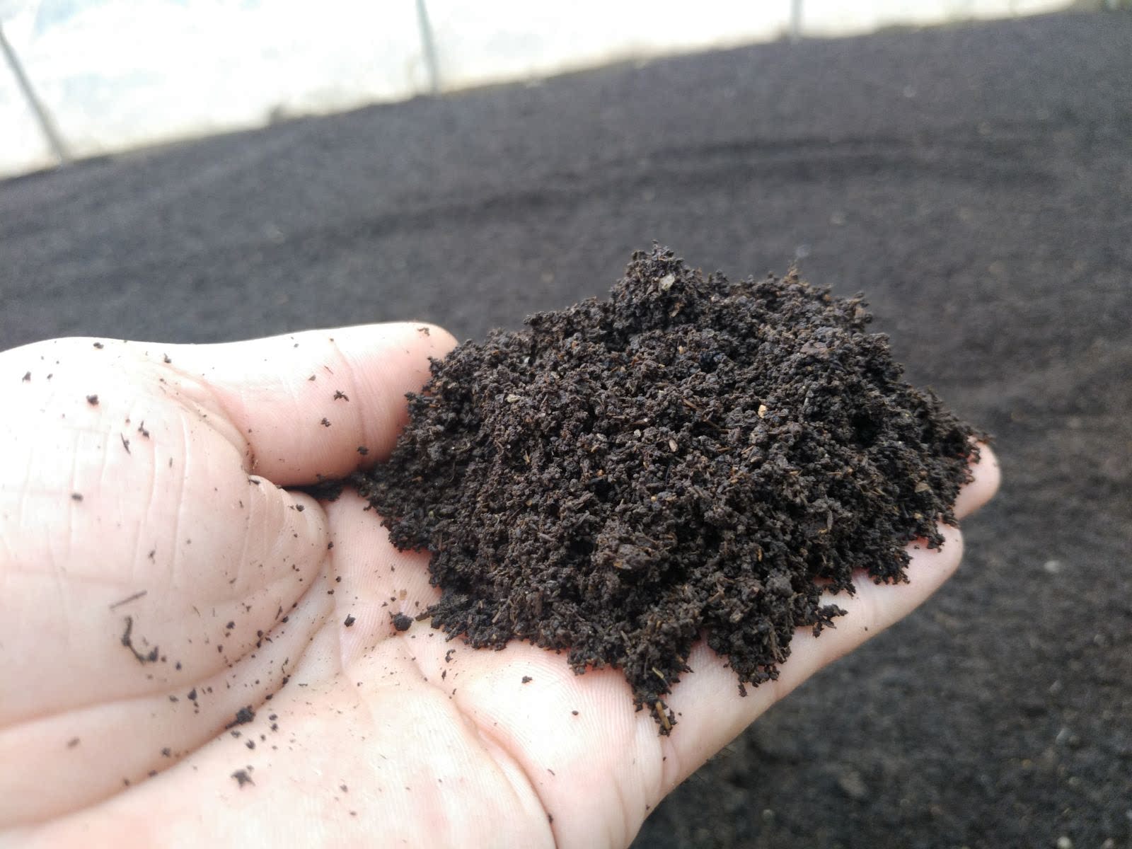 蚯蚓有机广东省包邮营养泥土土壤改良家庭园艺家庭园艺肥料