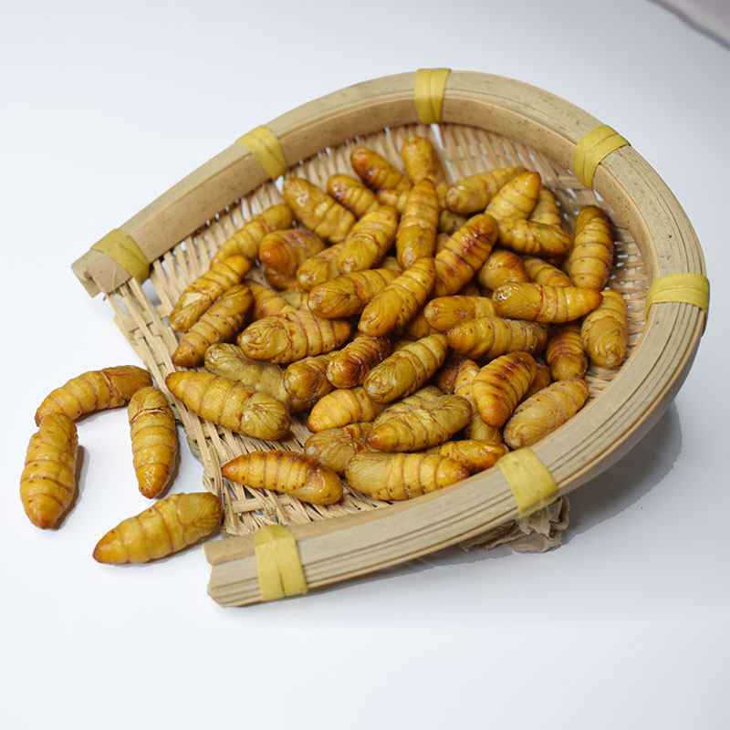 蚕蛹新鲜小蚕蛹三包满三包鲜活冷冻金丝农家山东其它生肉制品