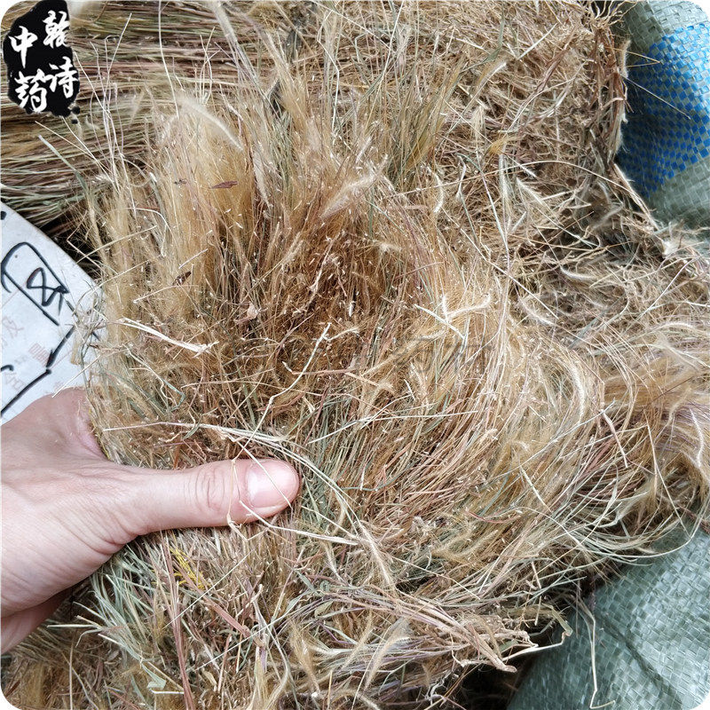 毛草中草药材金丝草1000g肥马枪草黄毛草中药材其他药食同源食品