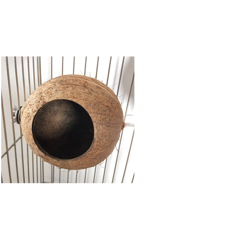 三只鹦鹉 椰壳鸟窝椰子壳窝 鹦鹉椰窝 鸟巢 繁殖窝 鹦鹉用品防咬