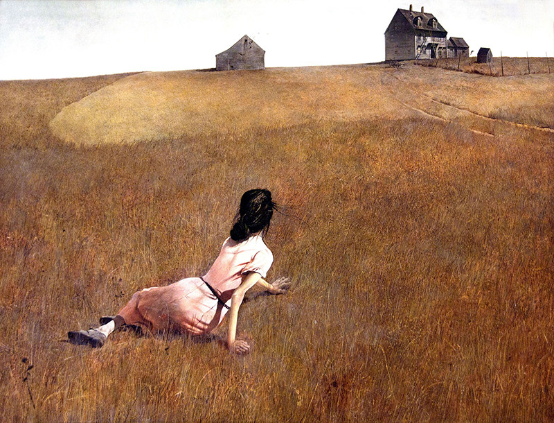 andrewwyeth安德鲁怀斯克里斯蒂娜世界名画油画手机机壳13p手机保护套