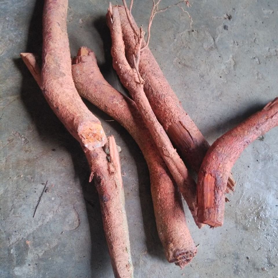 新鲜荔枝树根500克包邮新品天然农村现挖采摘其他药食同源食品