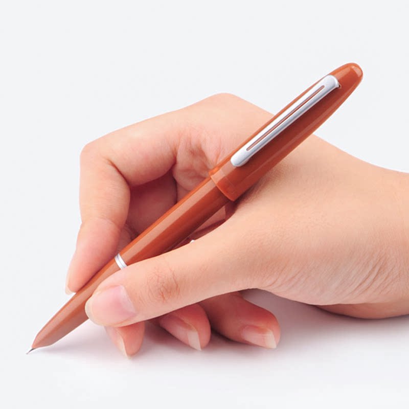 鸵鸟钢笔多彩暗尖初学者书法练字专用简约包尖钢笔