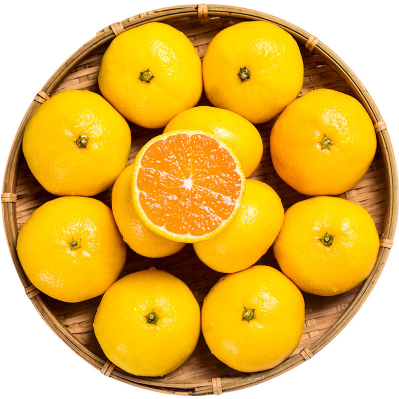 现摘美人冰糖10斤黄皮当季橘子整箱新鲜桔子桔子
