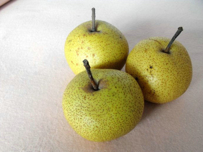 酸梨安梨正宗东北北安梨大可做冻梨多省包邮细梨