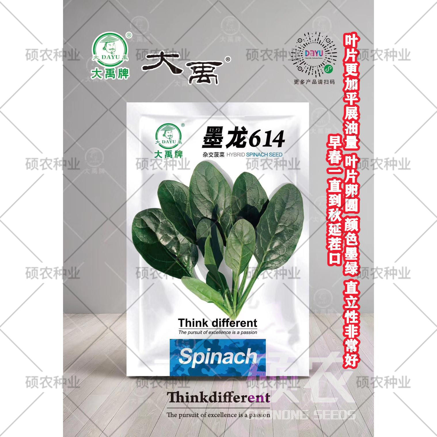 菠菜菜种大禹杂交墨龙春夏夏秋型菜子种孑阳台蔬菜种子