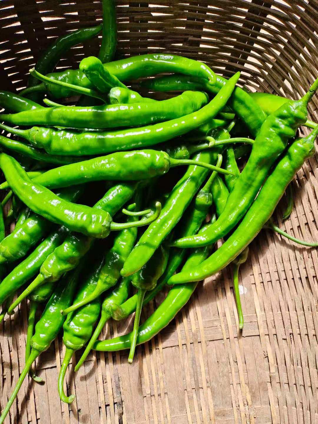 湖北农家本地辣椒新鲜薄皮青椒辣广椒非螺丝辣椒