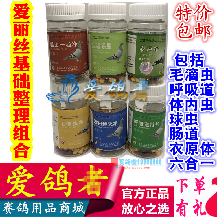 组合调理爱丽丝鸽药基础套装胶囊6瓶种鸽预防医疗用品