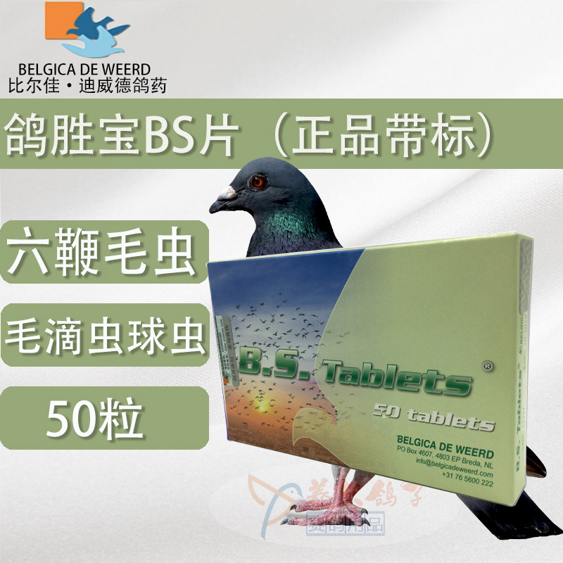 迪威德鸽胜鸽药50片bs毛滴虫球虫肠道医疗用品