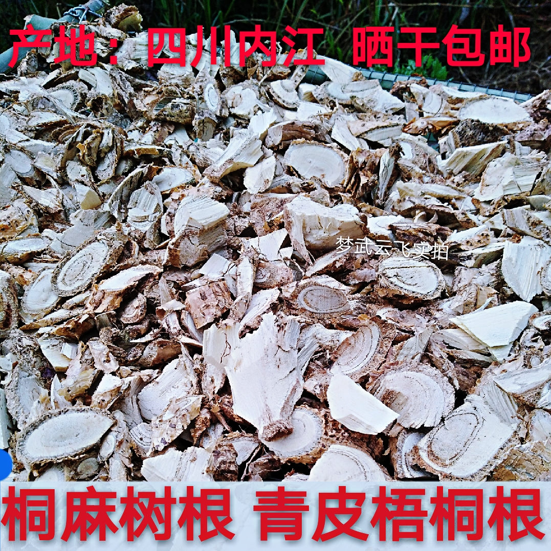 树根四川内江新鲜晒干青皮梧桐梧桐树桐麻瓢儿其他药食同源食品