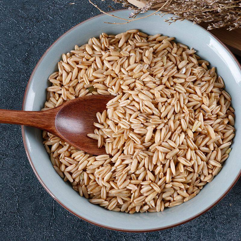 燕麦米 皮燕麦米 农家新货生燕麦粒野麦雀麦莜麦裸燕麦仁散装250g