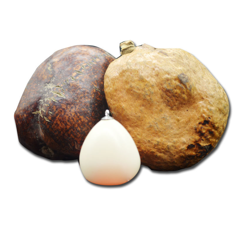 释迦佛心果菩提子原籽大果号彩色黄红皮老果金包玉精品吊坠成品