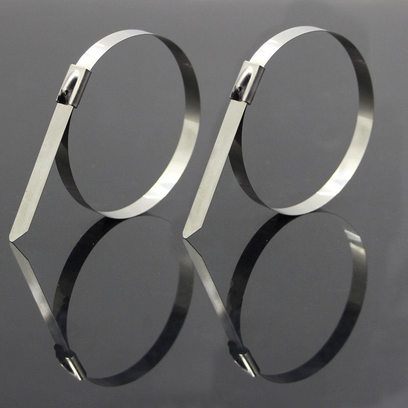 自锁不锈钢扎带300mm防盗工具固定锁紧卡扣打包束线带