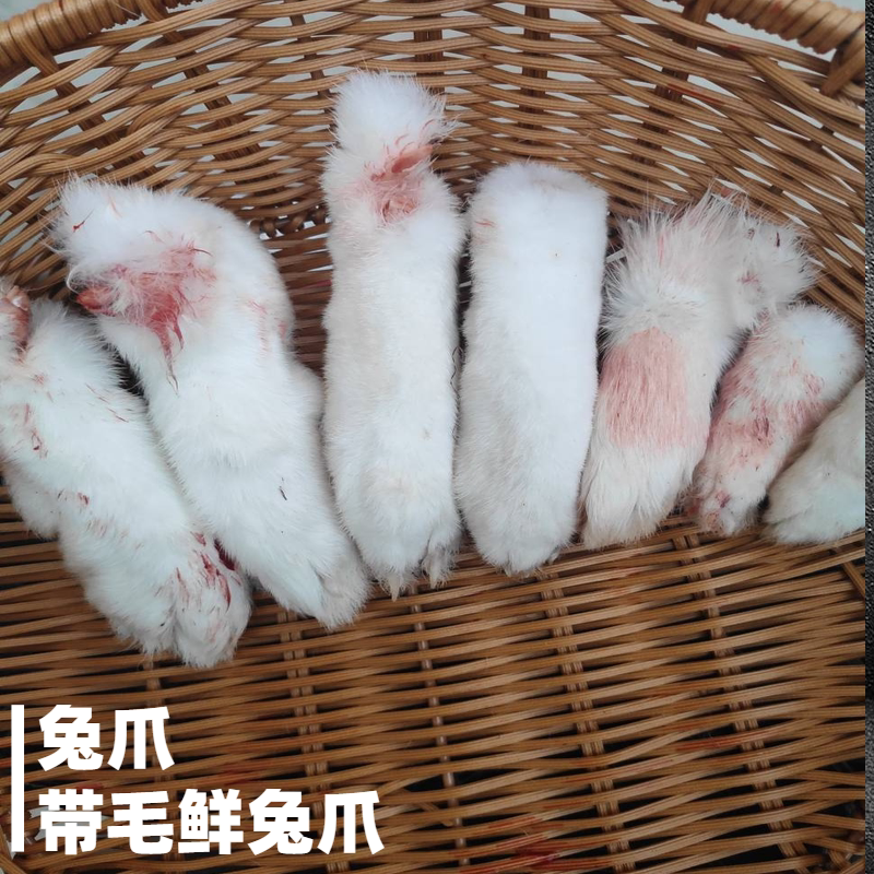 兔爪新鲜带骨兔毛毛爪宠物零食一份10个全店其它生肉制品