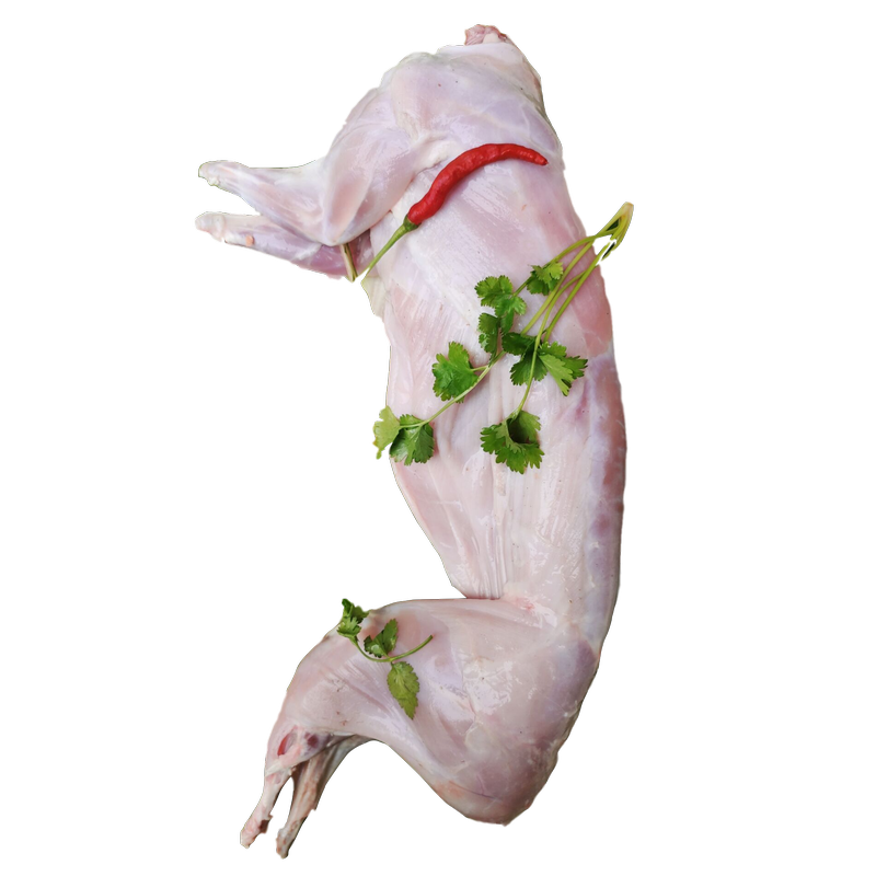 兔肉新鲜兔子肉现杀散比利时兔整只去头真空冷冻其它生肉制品