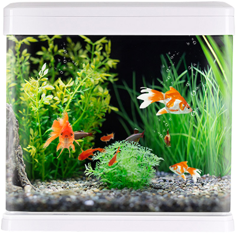 鱼缸金鱼缸生态换水懒人客厅办公室循环家用桌面桌面缸