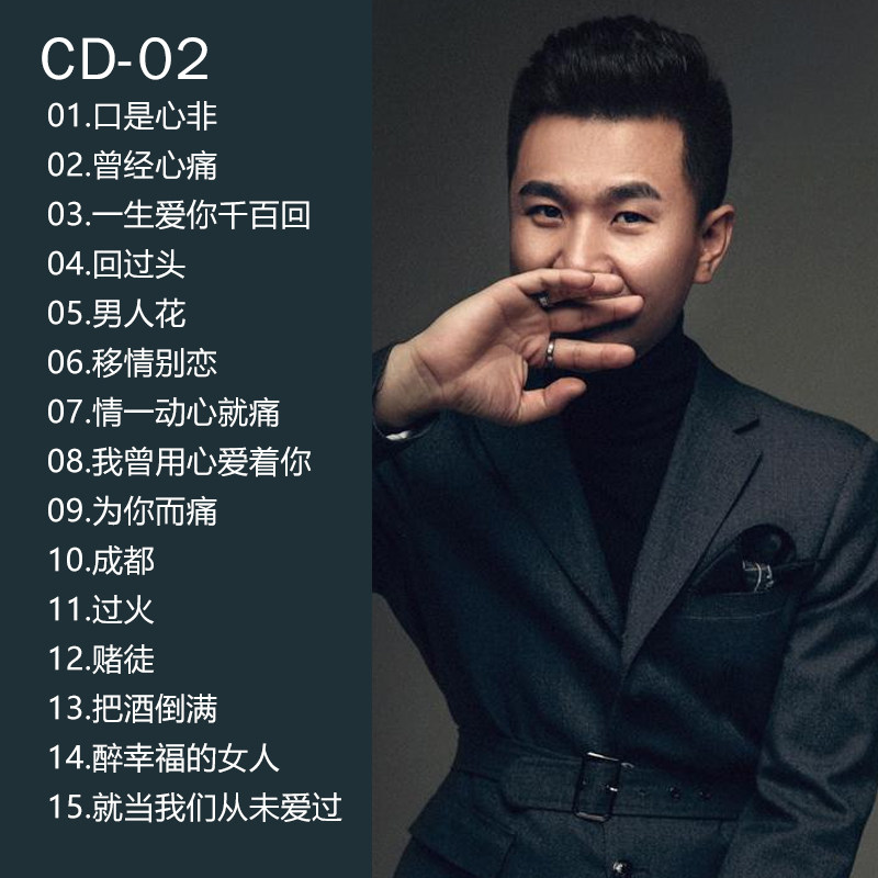 夜夜鹏鹏音乐夜夜夜漫长漫长流行音乐歌曲车用光碟汽车音乐cd