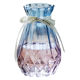 Glass vase transparent hydroponic green dill European home living room decoration pastoral small fresh dry vase flower arrangement gardening Glass vase transparent hydroponic green dill European home living room decoration pastoral small fresh dry vase flower arrangement gardening