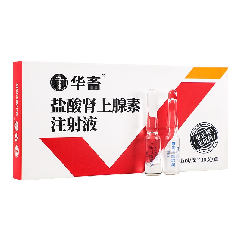 华畜盐酸肾上腺素兽药急救针兽用强心针马牛羊猪用注射激素应激药