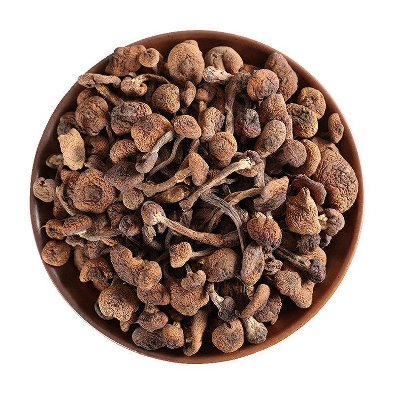 黄松甸 榛蘑 东北特产干货 长白山野生蘑菇 小蘑菇头 250g