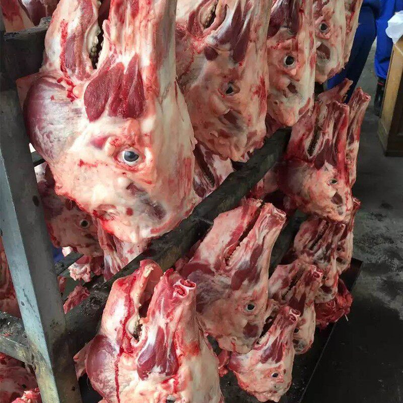 新鲜冷冻肉猪头骨猪头排猪骨头熬汤温州美食生猪肉