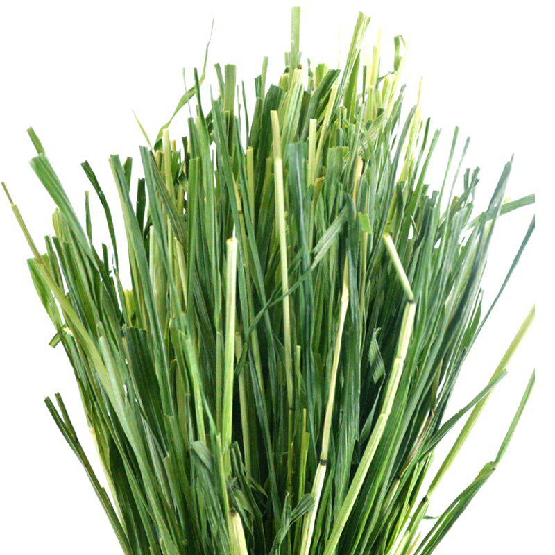 干草21年兔子荷兰粮食豚鼠龙猫金装段兔子牧草兔兔干草