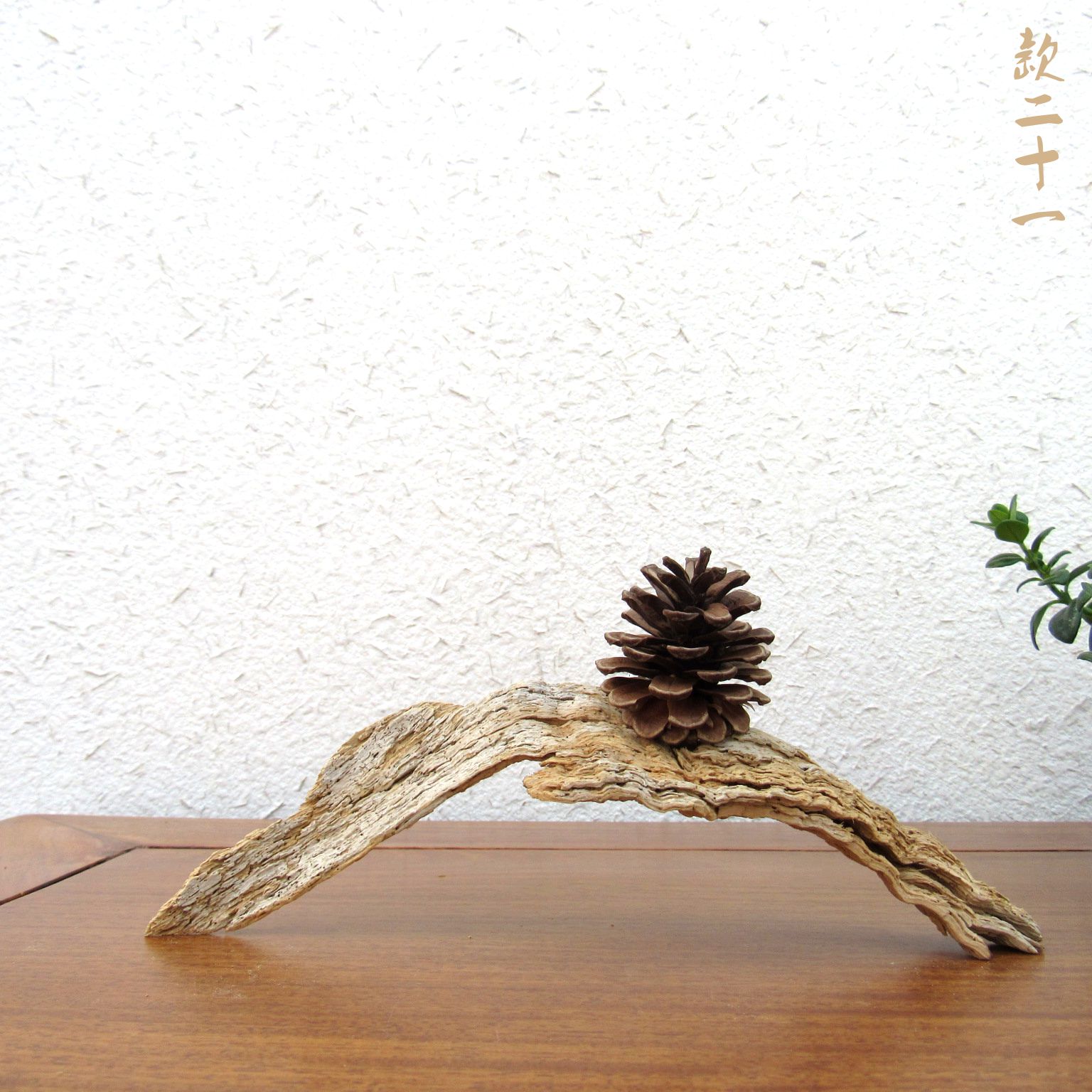 千年随形创意禅意自然生态摆件古风原木胡杨木朽木摆件