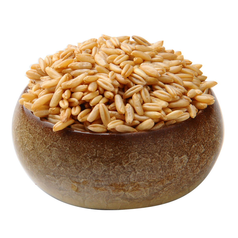 朱碌科 东北有机燕麦米250g*4袋(2斤) 五谷杂粮粥 朝阳特产粗粮