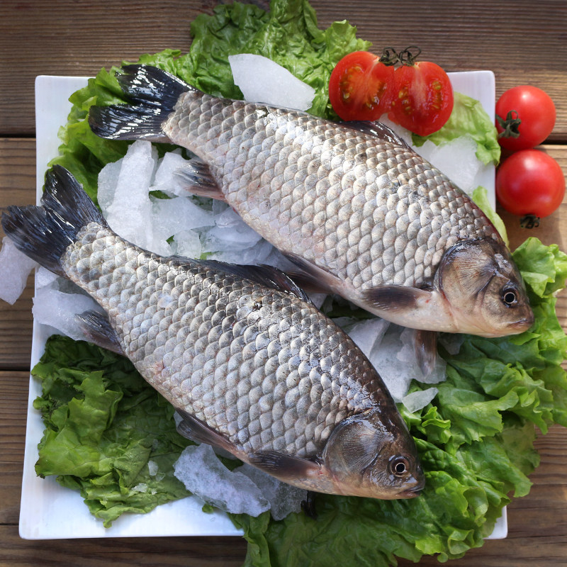 查干鲫鱼圣水松原淡水湖冬捕胖头250克每条5斤淡水鱼类