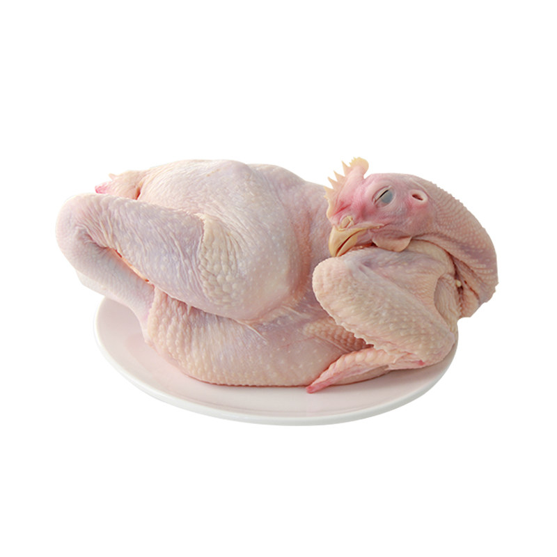 童子鸡农家散养小公鸡肉质鲜嫩新鲜 未打鸣的公鸡仔1只