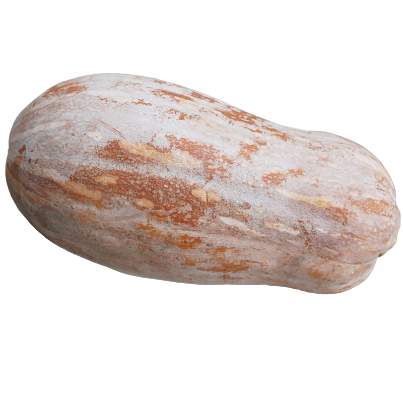 老农自种老倭瓜老窝瓜面瓜南瓜方瓜宝宝辅食其它