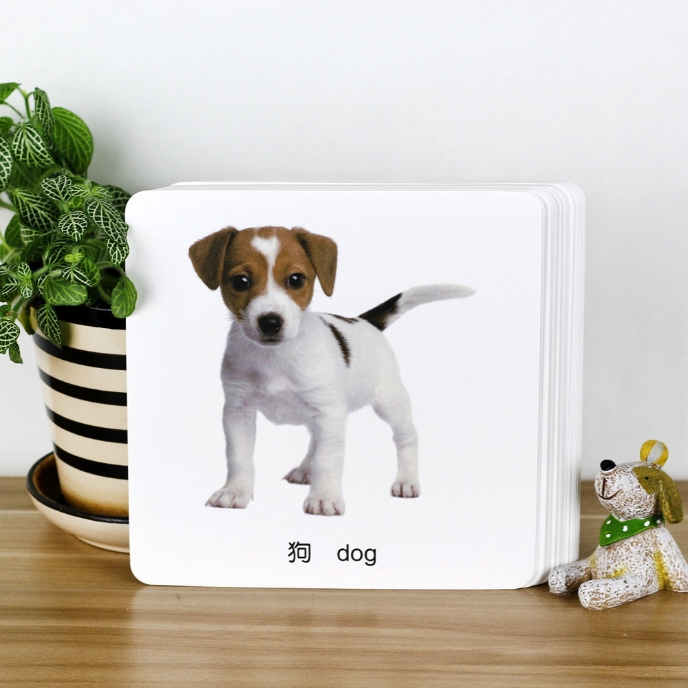 宝宝启蒙不烂海润阳光认物早教书籍婴儿读物图书启蒙认知书