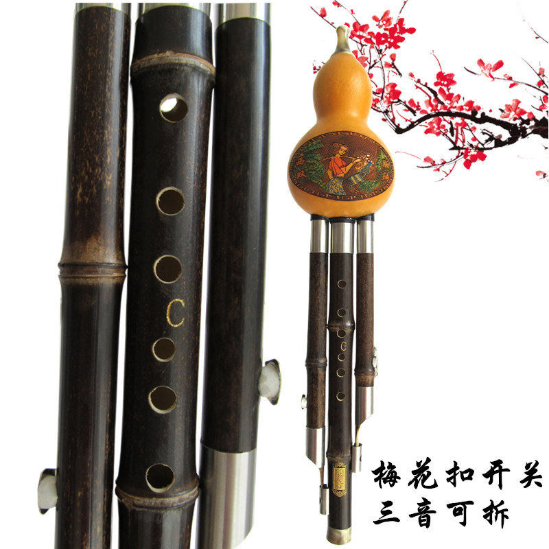 演奏紫竹专业入门初学成人小学生葫芦bc调降葫芦丝