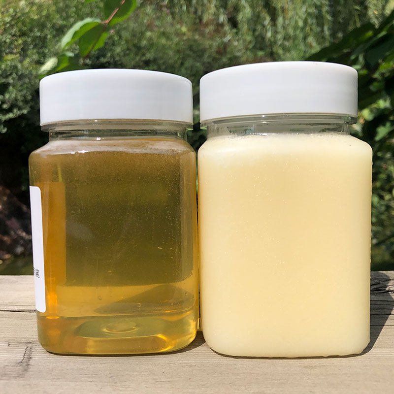 东北纯正天然长白山黑蜂雪蜜农家自产土蜂蜜椴树蜜结晶蜜500g3瓶