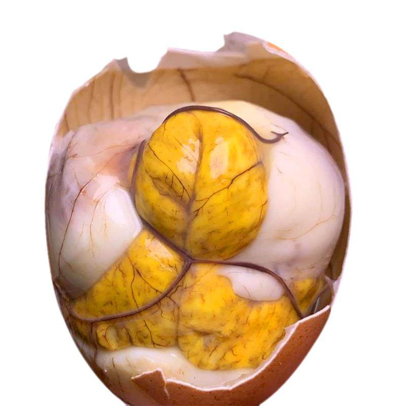 30枚毛蛋鸡胚胎新鲜毛蛋熟食即食香辣活珠子13天14天10天18天