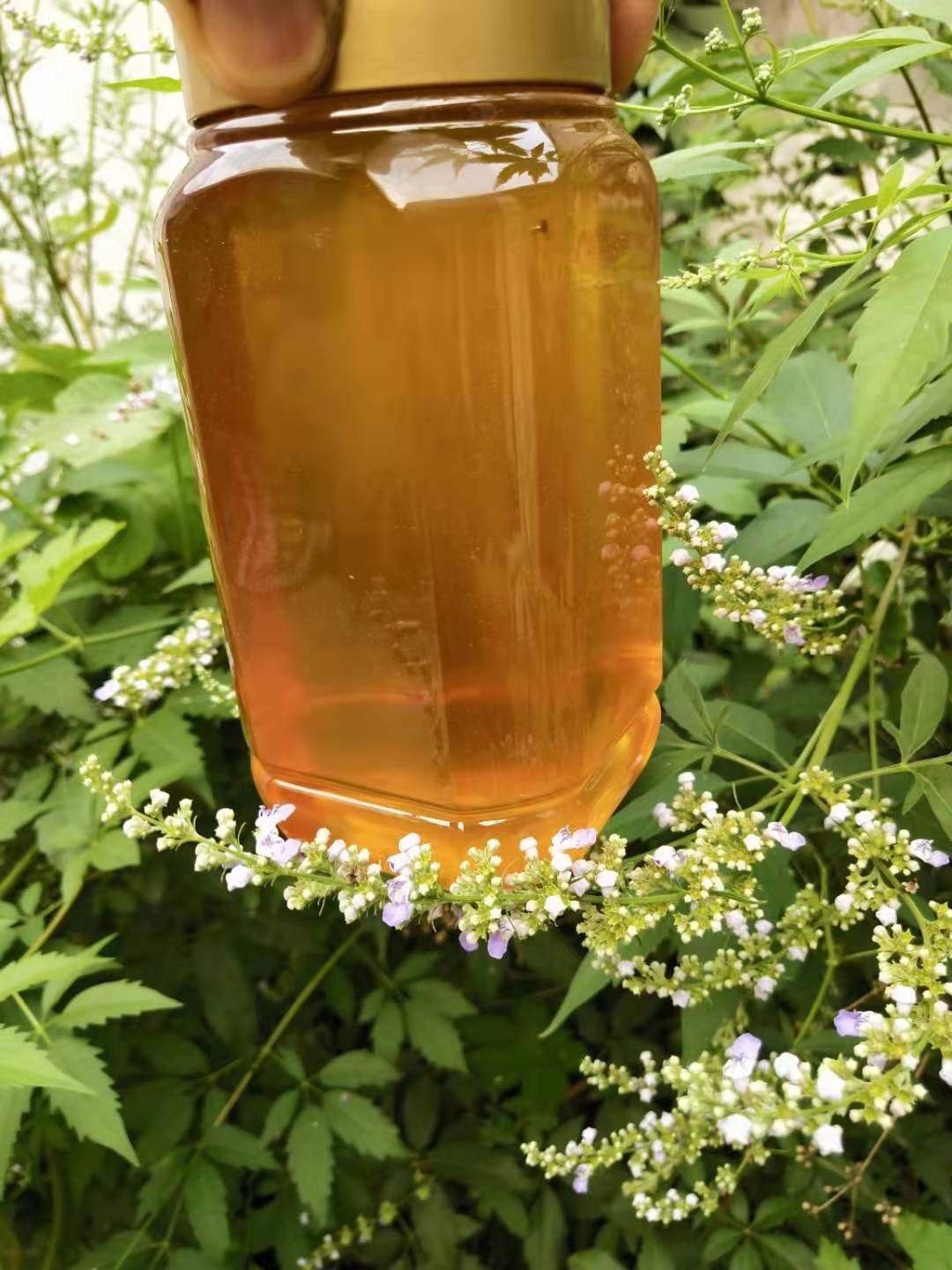 蜂耀堂荆条蜜纯正天然农家自产土蜂蜜自家养孕妇儿童百花蜜无添加