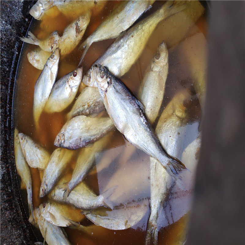 咸鱼山东日照岚山特产白磷腌制水产干臭海鱼鱼干