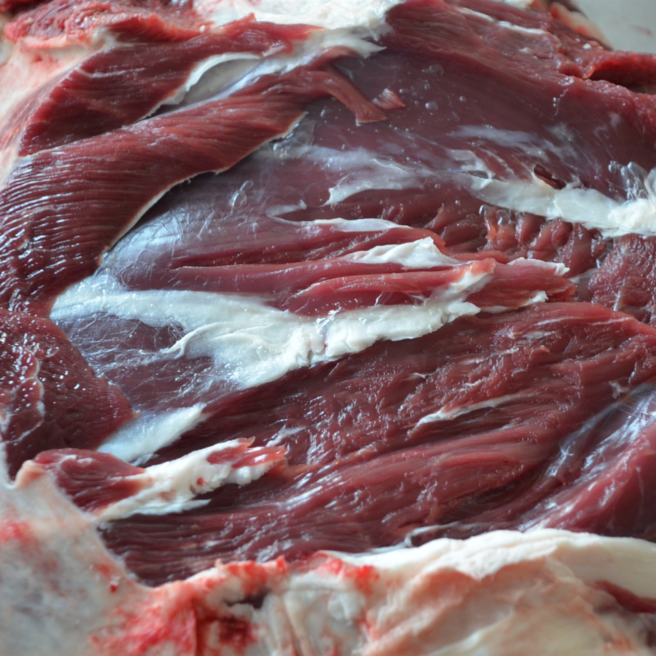 牛肉黄牛肉农家牛腩里脊肉牛肋条新鲜散养现杀生牛肉