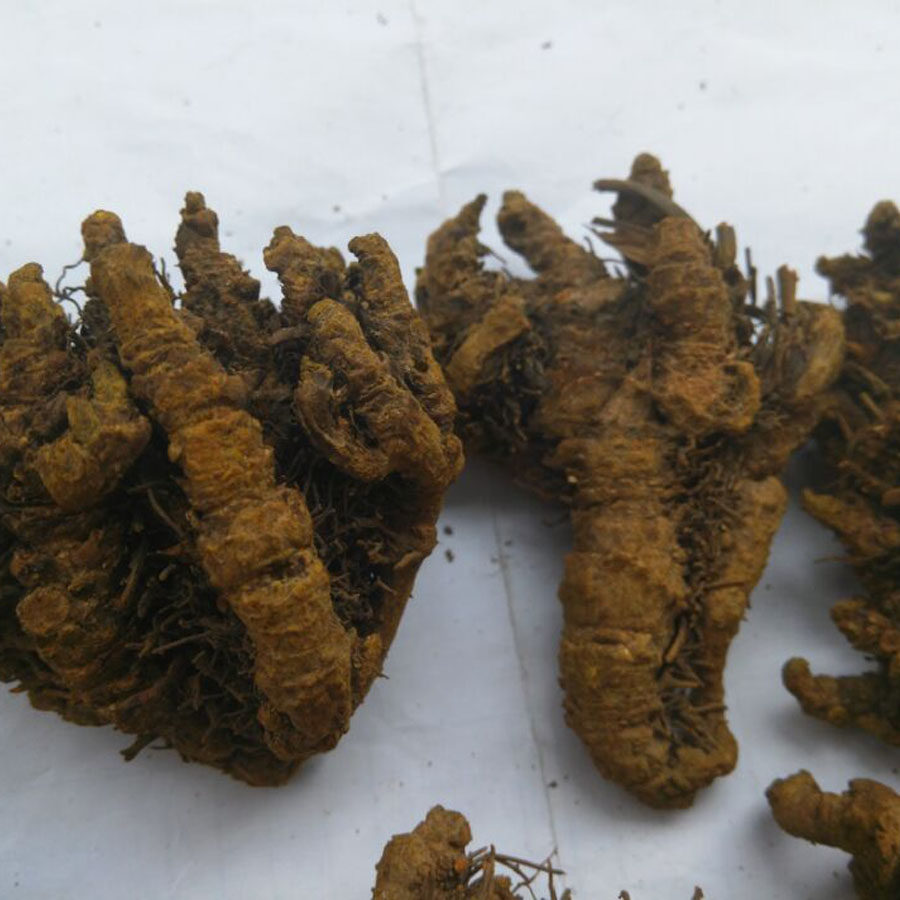 黄连重庆石柱黄水天然散装正品中药材清热鸡爪其他药食同源食品