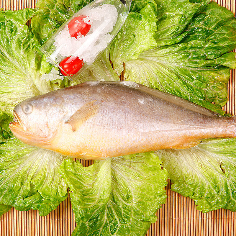 洋口港 海鲜礼盒 黄鱼鲳鱼 春节年货 冰鲜大礼包 南通海鲜特产