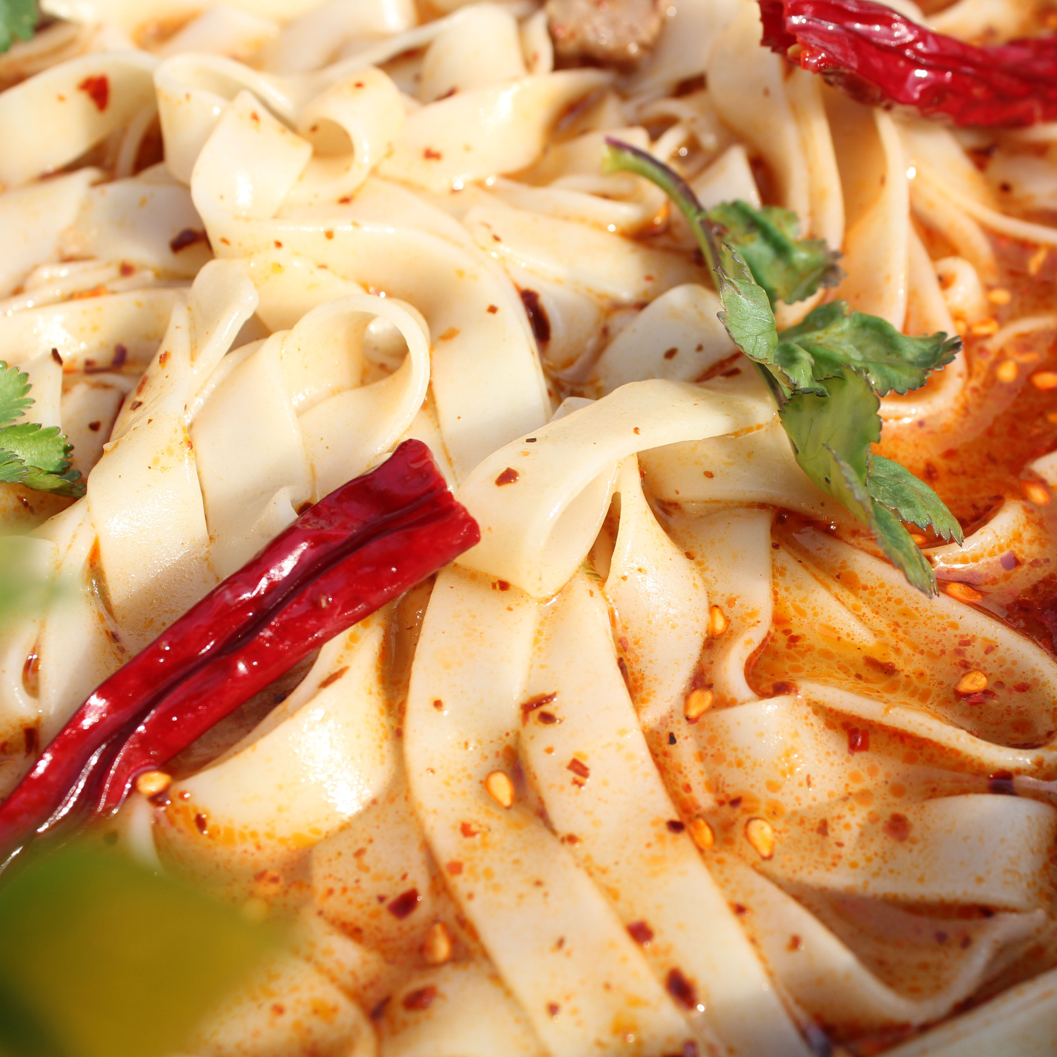 面条整箱箱包邮炒面的挂面河南早餐手工炸酱面条