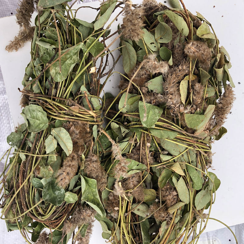 进入店铺奇珍异草野山货去购买0650元发货地:广东 广州包邮0650折