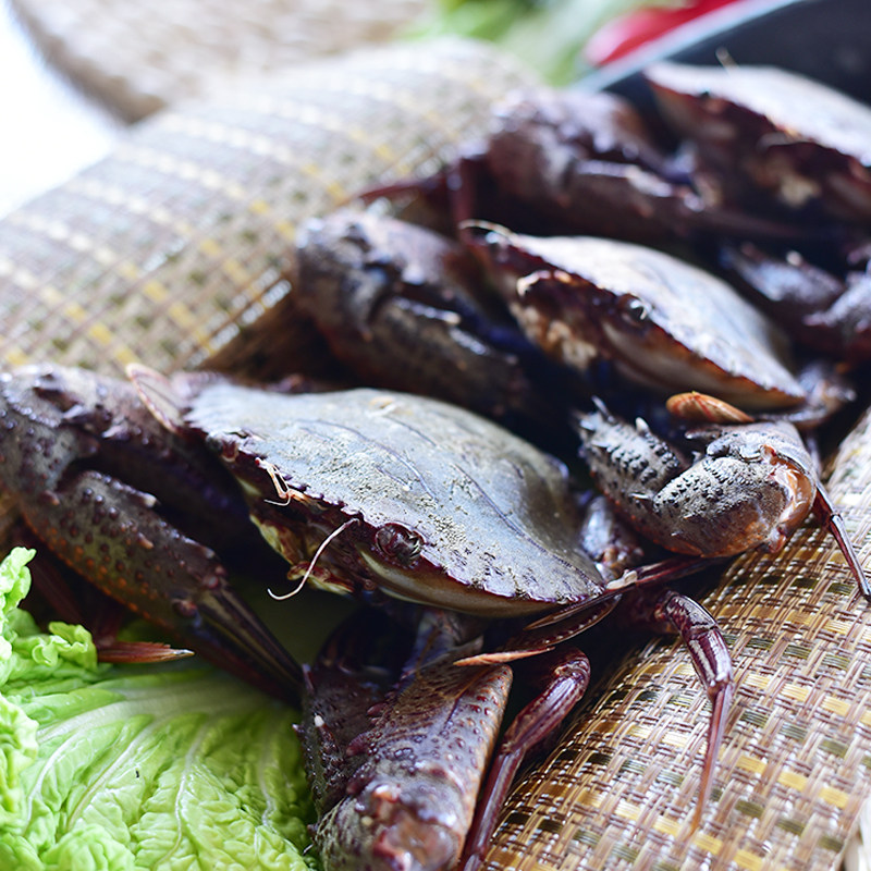 福建东山岛野生新鲜水产海蟹黑蟹石蟹黑将军经济蟹大钳蟹500克